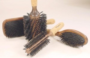 brushes-beecher